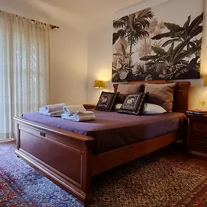 T3 - Frei Joao - Pleasant And Cozy Apartment